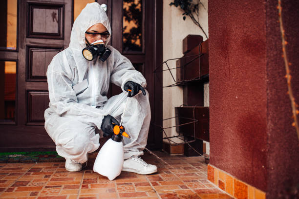 Reliable Cockroach Control contractor in McKinney, TX by Nex Pest Control
